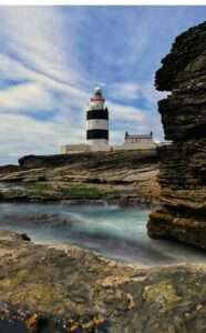 Wexford-gardening-news